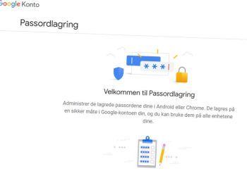 Skjermdump av Googles Passordlagring.